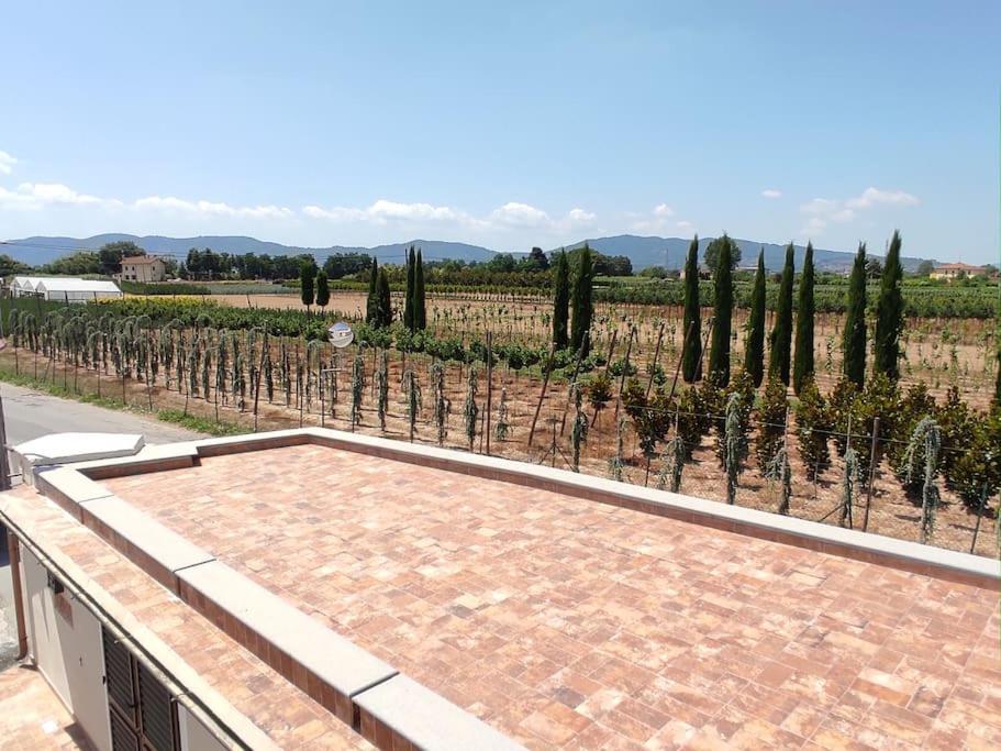 Affittacamere Villa Mary Pistoia Exterior foto